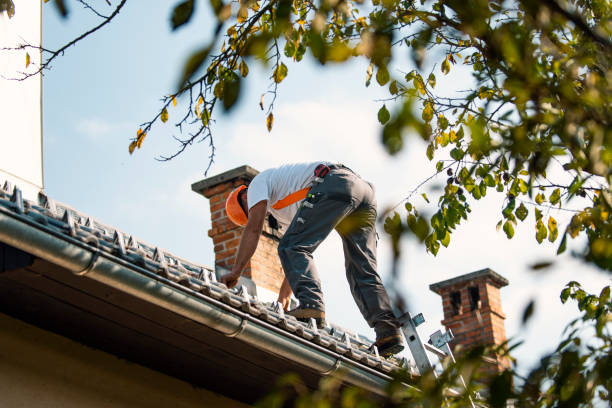 Best Storm Damage Roof Repair  in North Muskegon, MI