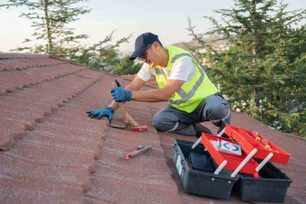 Best Roof Leak Repair  in North Muskegon, MI