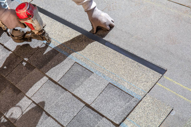 Best Roof Gutter Cleaning  in North Muskegon, MI