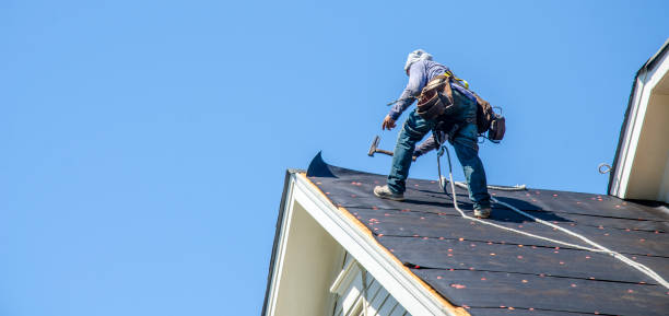 Sealant for Roof in North Muskegon, MI